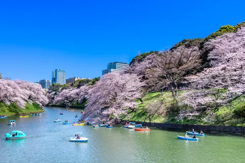 千鳥ヶ淵 東京都