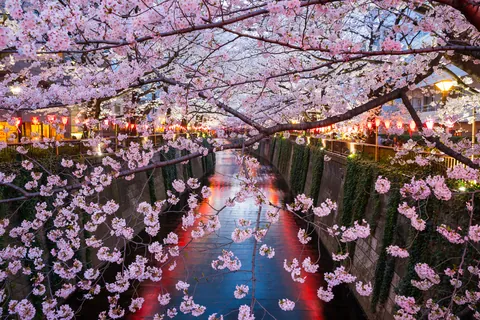 目黒川 東京都