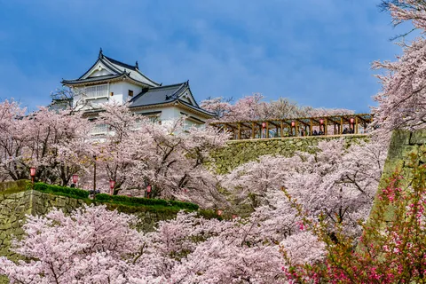 津山城 岡山県