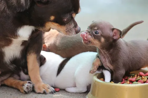 Samen met mama