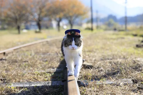 らぶ 二代目名誉駅長 ②