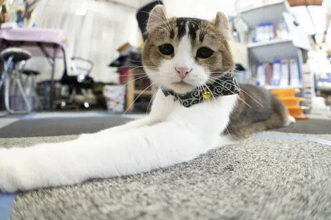 ぴーち 施設長 ②