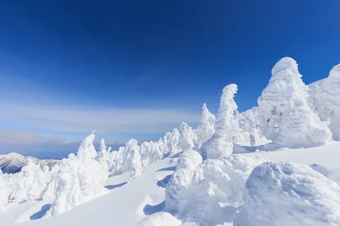 Ледяные деревья Дзао / Ямагата