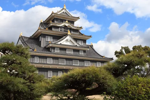 Kasteel Okayama / prefectuur Okayama