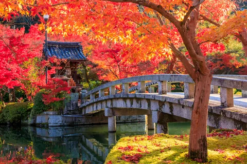 禅林寺 / 京都府