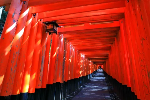 伏見稲荷大社の千本鳥居 / 京都府