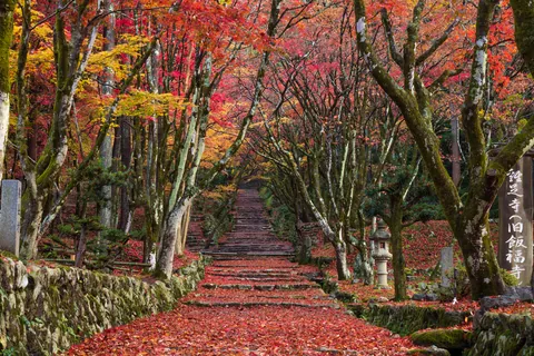 鶏足寺 / 滋賀県