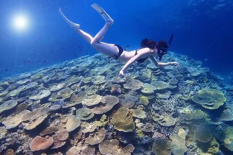 Arrecife de coral y buceador en apnea