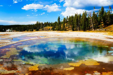 Parco nazionale di Yellowstone