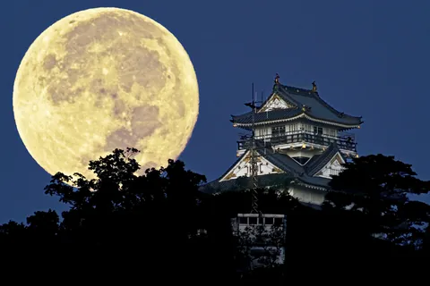 Kasteel Gifu en volle maan