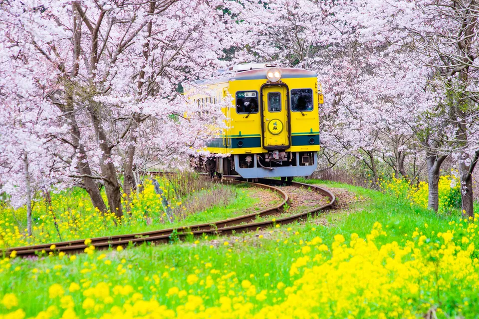 日本の絶景トレイン