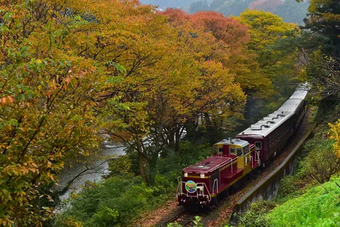 紅葉した渓谷 / 群馬県