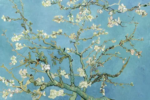 花咲くアーモンドの木の枝 / フィンセント・ファン・ゴッホ