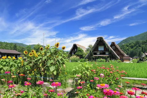 夏日的白川乡