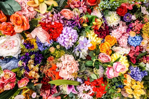 Arranjo de flores coloridas