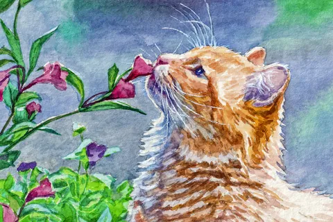 Chat qui renifle des fleurs roses