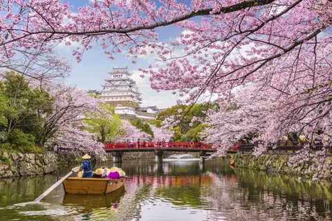 Kasteel Himeji met kersenbloesem