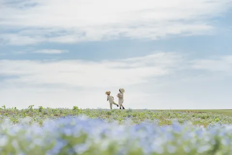 北海道 絶景の旅 ～小さな冒険者～ / 坪井智洋