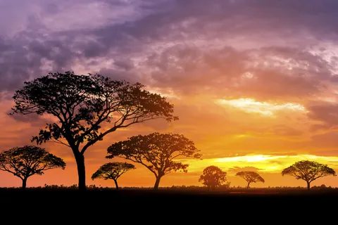 アフリカの夕陽