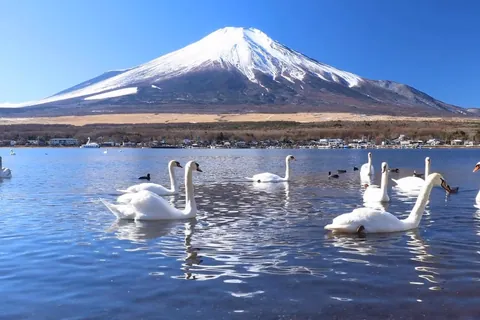 【動く】日本の絶景