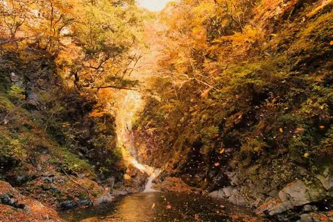 秋の尾白川渓谷