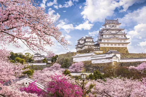 桜紀行