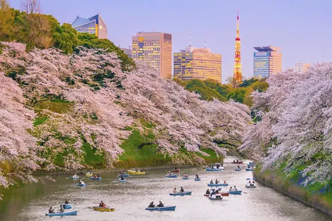 千鳥ヶ淵