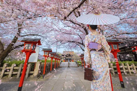 京都の神社に着物姿の女性