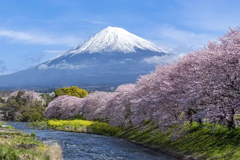 潤井川から富士山を望む