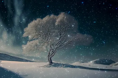 Paysage enneigé féerique