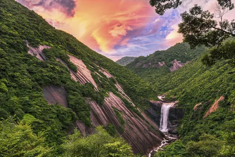 Yakushima, Japón
