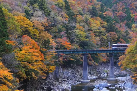 紅葉の飛騨高山