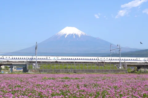 富士山とレンゲ畑