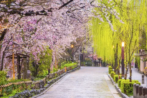Gion Shirakawa, Kyoto, Japan