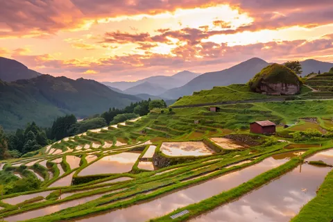 Terraços de arroz Maruyama Senmaida, Mie