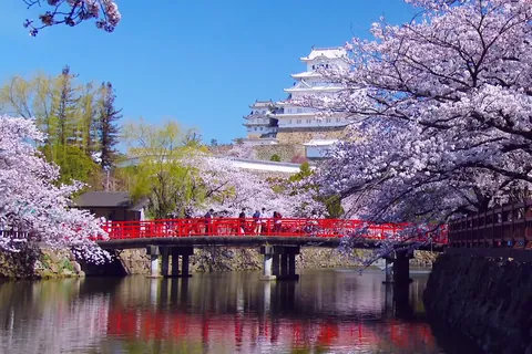 【動く】世界遺産