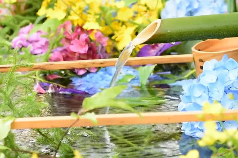 色とりどりの花手水