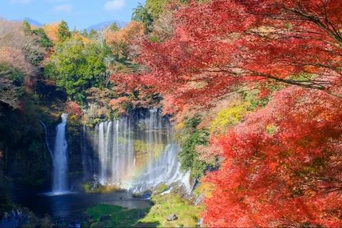 【動く】荘厳な滝