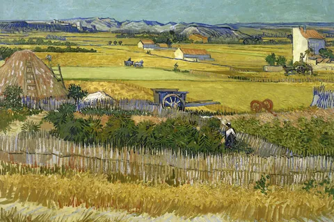 De oogst in La Crau / Vincent van Gogh