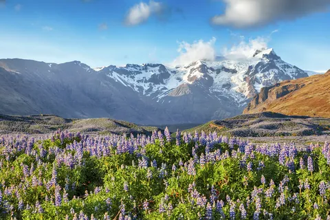 Parque nacional de Skaftafell, Islandia
