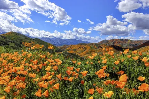 Condado de Orange, California, EE. UU.