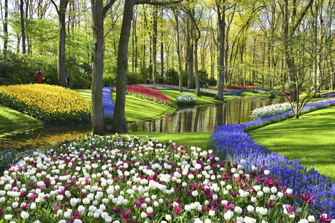 Keukenhof, Países Bajos