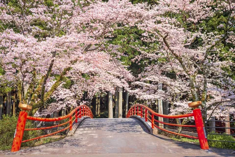 Kamijyo, Shizuoka, Japón