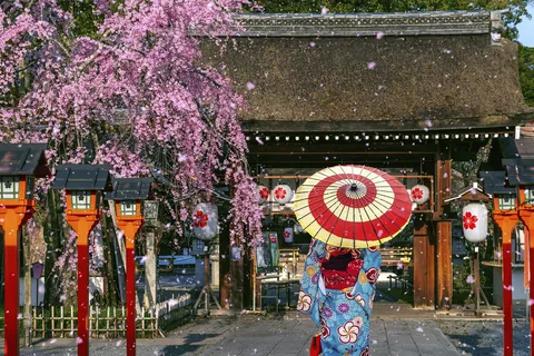 京都 / 日本
