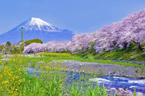 Urui River ＆ Mt.Fuji / Japan
