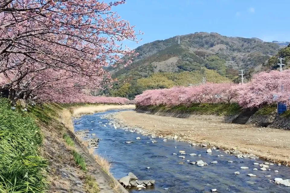 [Animado] Las cuatro estaciones de Japón