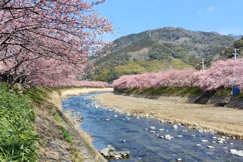 【動く】日本の四季
