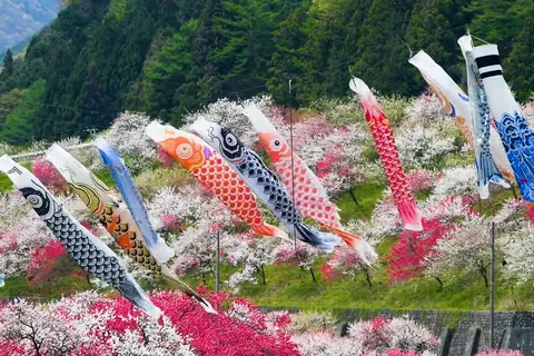 Primavera: Koinobori en la aldea de Achi, Nagano