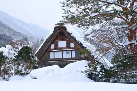Invierno: Shirakawa-go nevado, Gifu