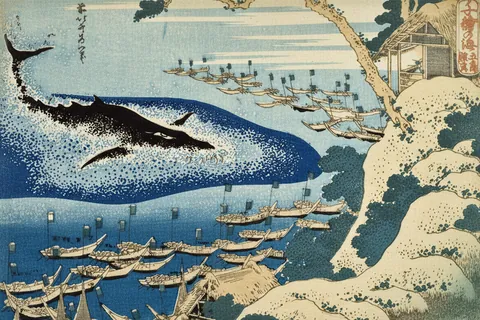 One Thousand Pictures of the Sea / Whaling off the Goto Islands